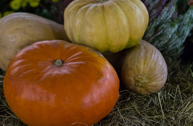 Similar image 13323398