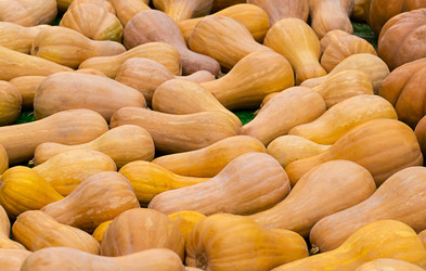 Similar image 13296454