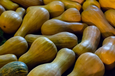 Similar image 13301024