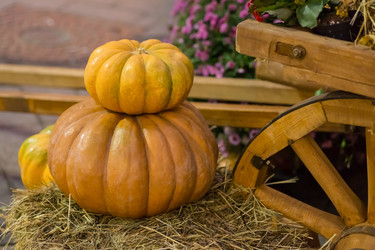 Similar image 13299562