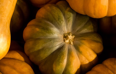 Similar image 13299563