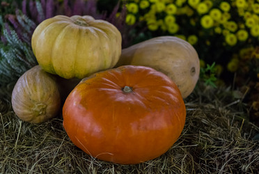 Similar image 13299574