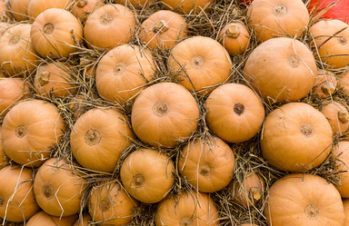 Similar image 13299577