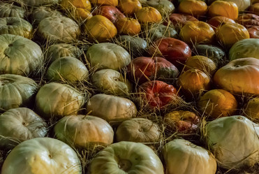 Similar image 13299585