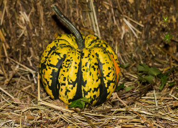 Similar image 13299598