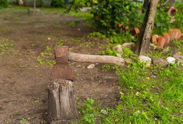 Similar image 13299632