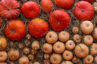 Similar image 13296476