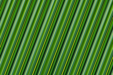 Similar image 13301028