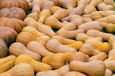 Similar image 13295166