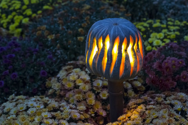 Similar image 13296456