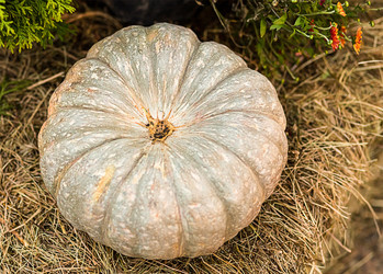 Similar image 13296458