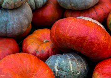 Similar image 13296477