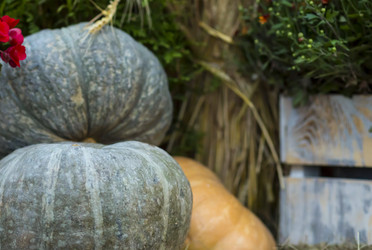 Similar image 13296478