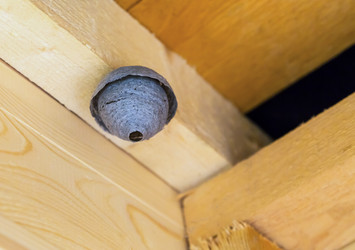 Similar image 13296479