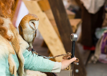 Similar image 13295171