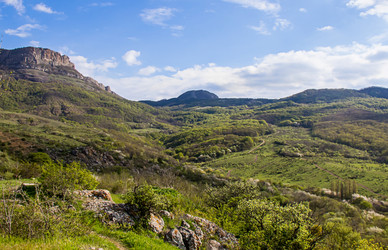 Similar image 13295198