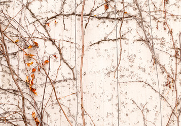 Similar image 13323341