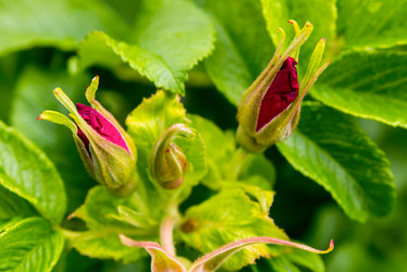 Similar image 13323420