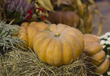 Similar image 13296472