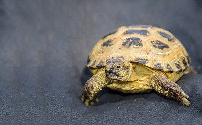 Similar image 13295177