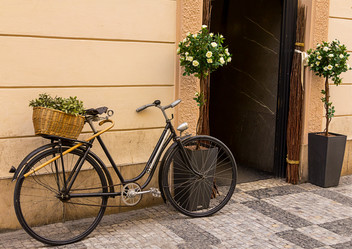 Similar image 13308822