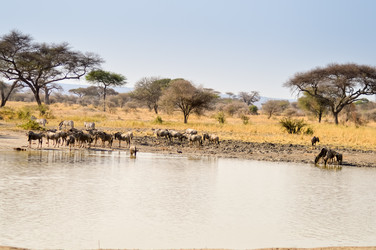 Similar image 13294769