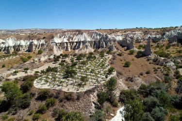 Similar image 13294530