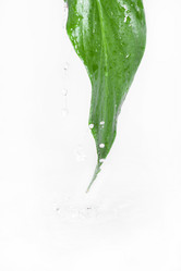 Similar image 13302996