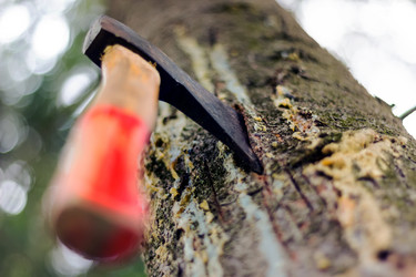 Similar image 13294673