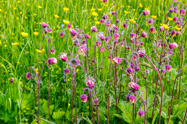 Similar image 13294675