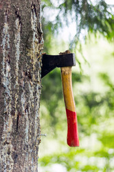 Similar image 13294685