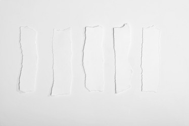 Similar image 13303521