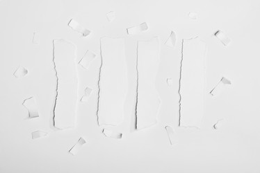 Similar image 13303523