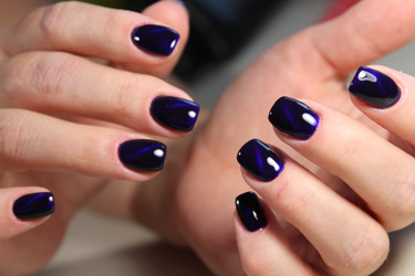 Similar image 13311227