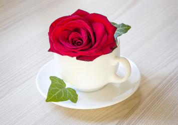 Similar image 13295587