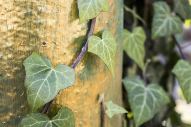 Similar image 13295602