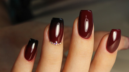 Similar image 13311154