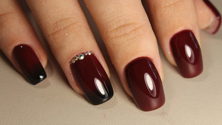 Similar image 13311159