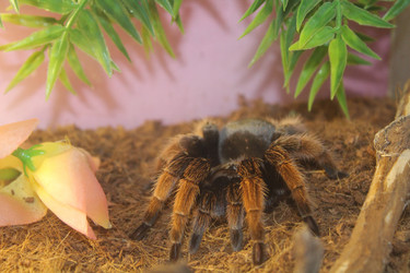 Similar image 13311176