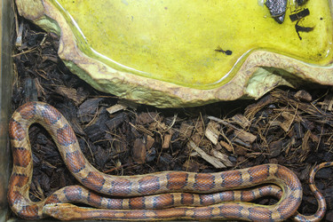 Similar image 13311193