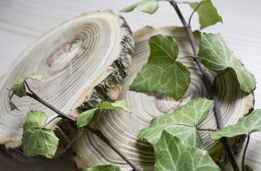 Similar image 13295599