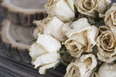 Similar image 13295614