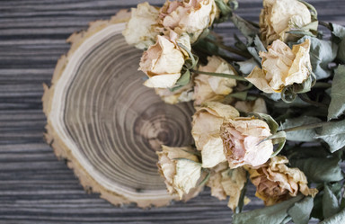 Similar image 13295705