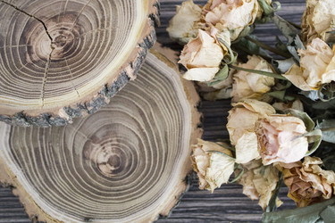 Similar image 13311010