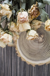 Similar image 13311022