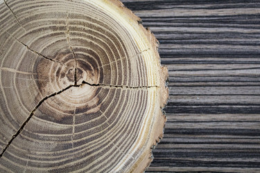 Similar image 13311024