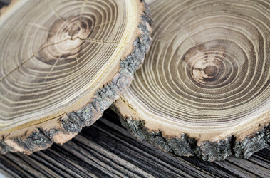 Similar image 13311036