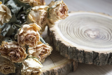 Similar image 13311045