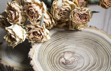 Similar image 13311051