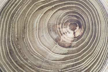 Similar image 13311058